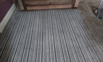 Carpet Cleaning(1)