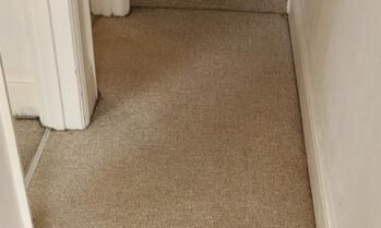 Carpet Cleaning(1)