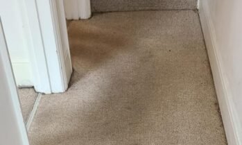 Carpet Cleaning(1)