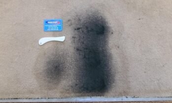 stain treatment carpet bright