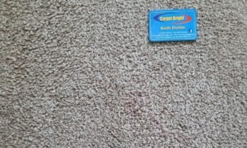 Stain removal expert carpet bright