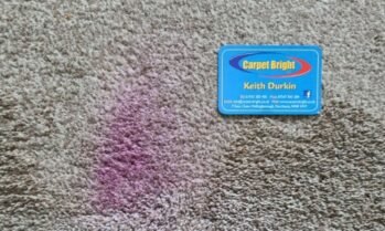 Stain removal professionals