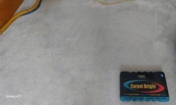 carpet stain and spot treatment